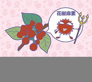 科普視頻：花椒為什么那么麻？